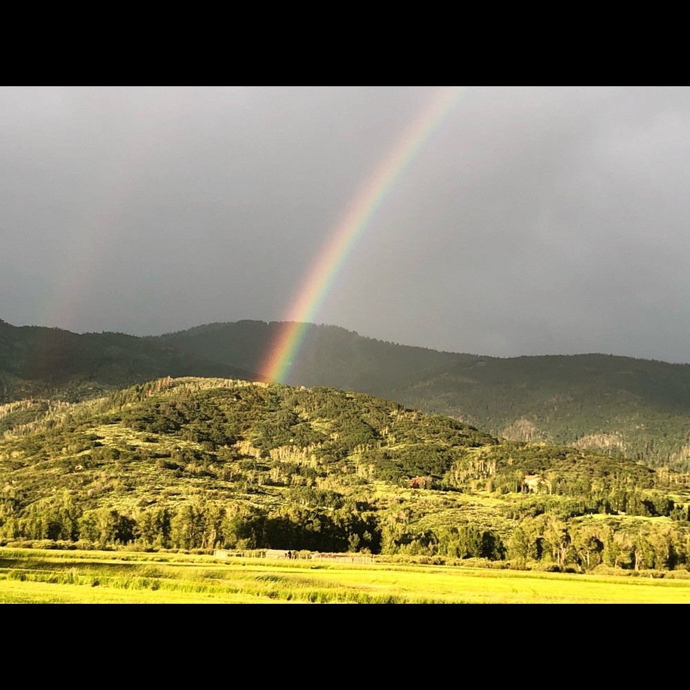 Meet your Posher, Leslie